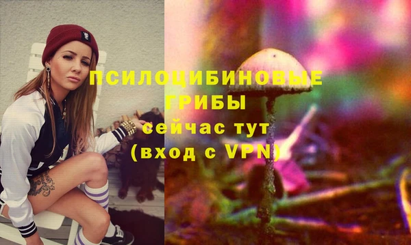 каннабис Белокуриха
